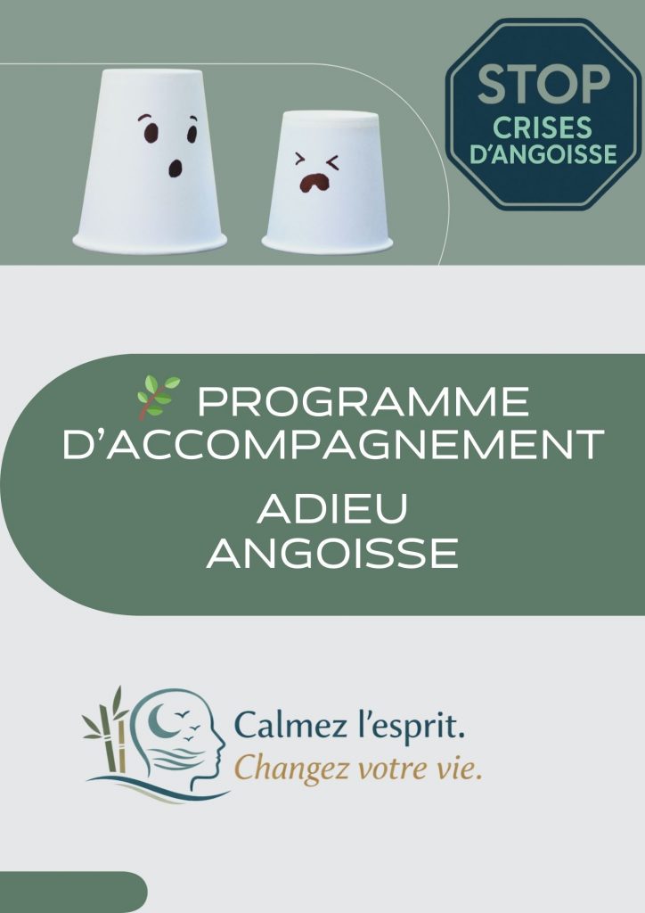 Accompagnement complet Adieu Angoisse